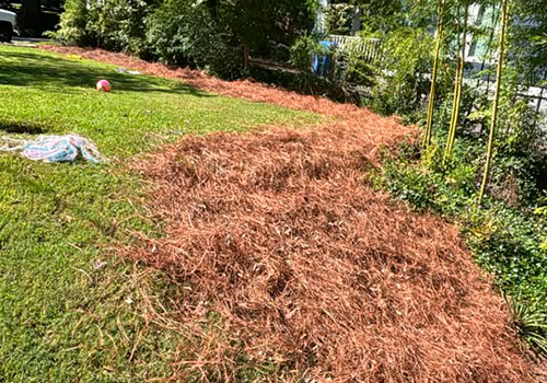portfolio image 35