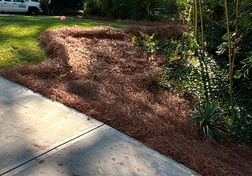 portfolio image 35