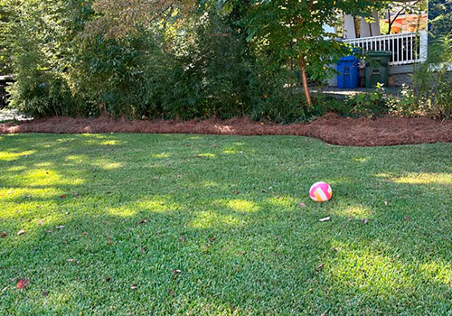 portfolio image 35