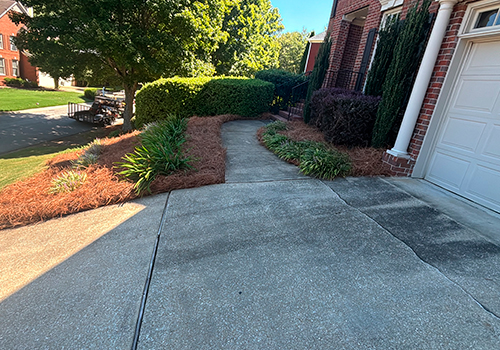 portfolio image 35