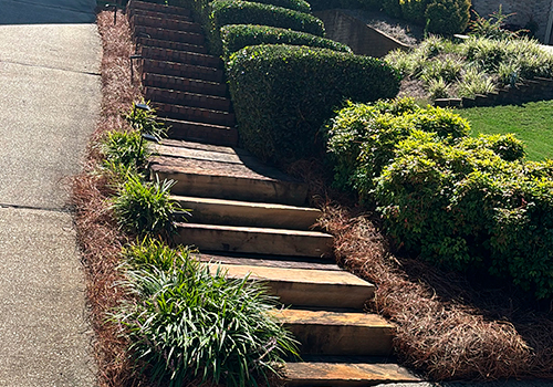 portfolio image 35