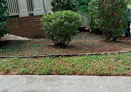 portfolio image 35
